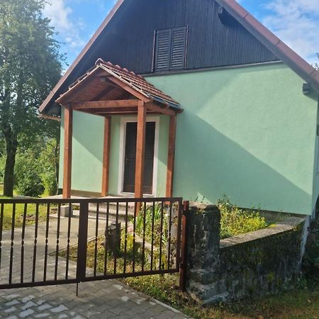 Forest Chalet Zalesina Exterior photo